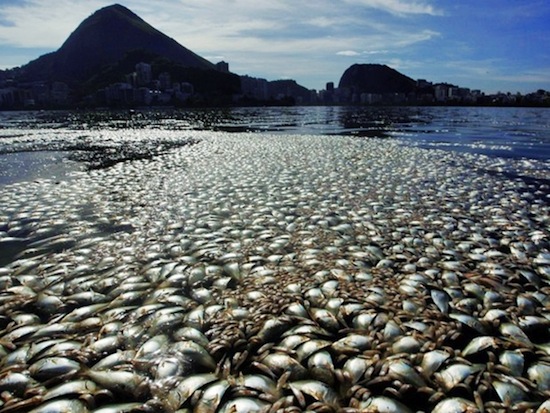 Lagoa Rodrigo de Freitas