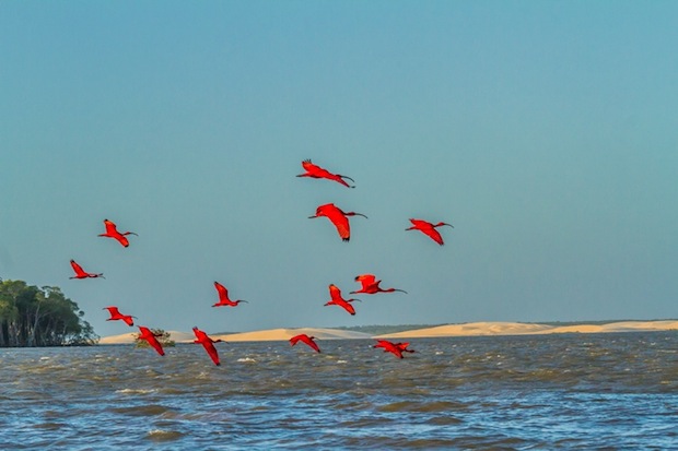 Delta do Parnaíba