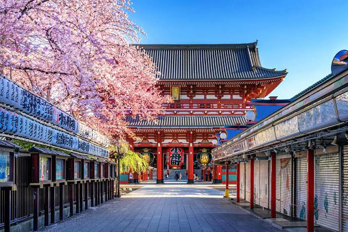Templo tradicional cercado pela natureza em Tokyo